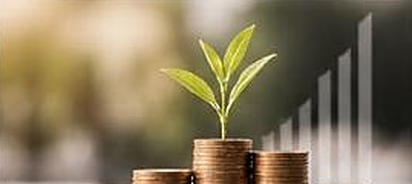 Monedas y una planta que crece